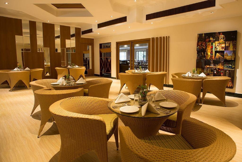 Golden Tulip