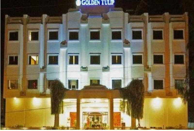 Golden Tulip