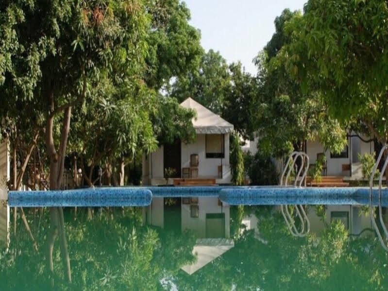 Shree Orchid - A Pichola Facing 4* Udaipur