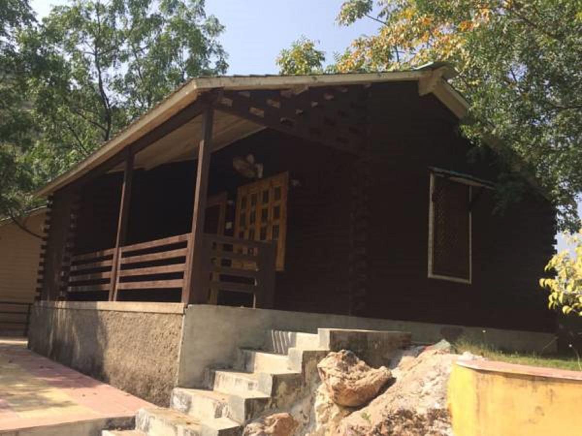 The Space Jungle Retreat Resort Udaipur