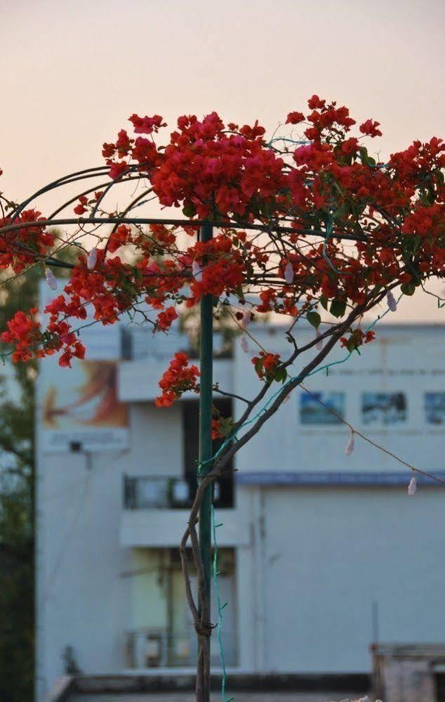 Mewar