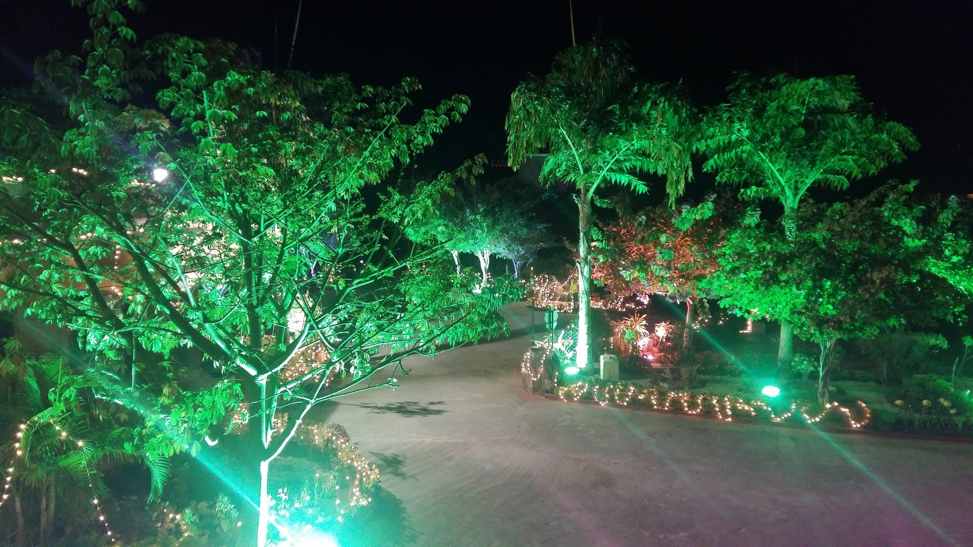 Resort Araliayas &