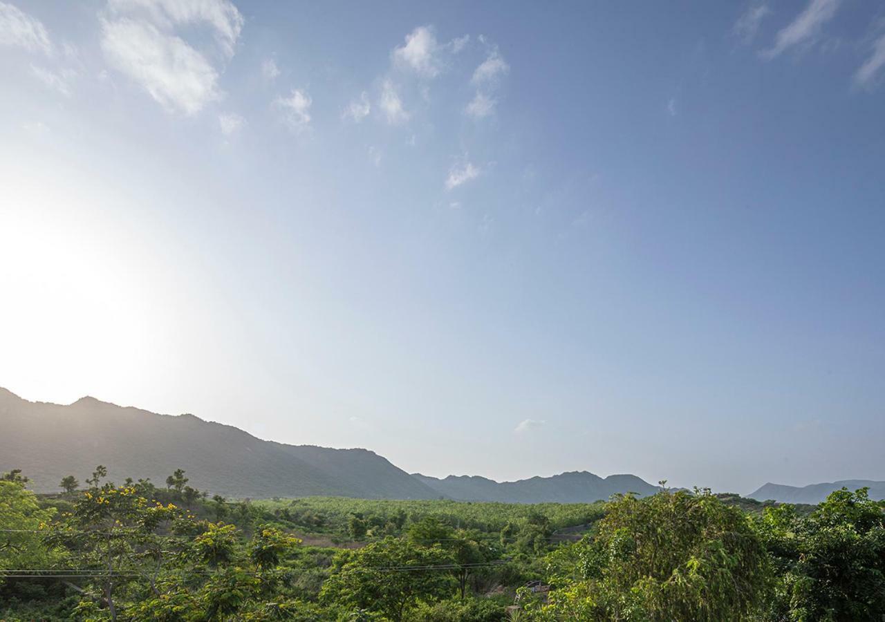 Wild Orchid: Hillside With Pool And Gazebo * Udaipur
