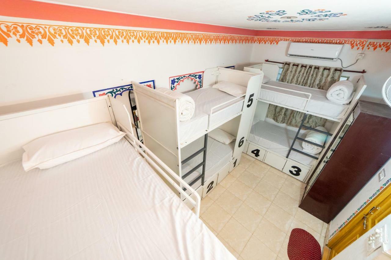 Hostel Backpacker Panda Udaipur