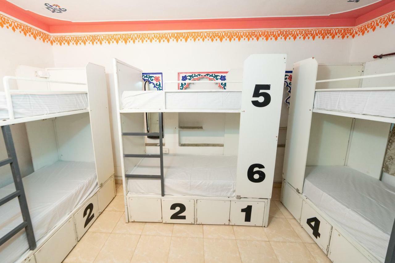 Backpacker Panda Udaipur Hostel