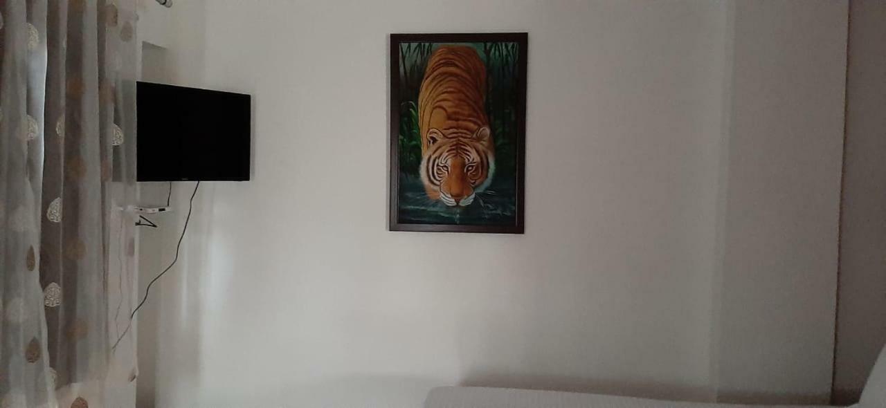 Shiv Palace 2*