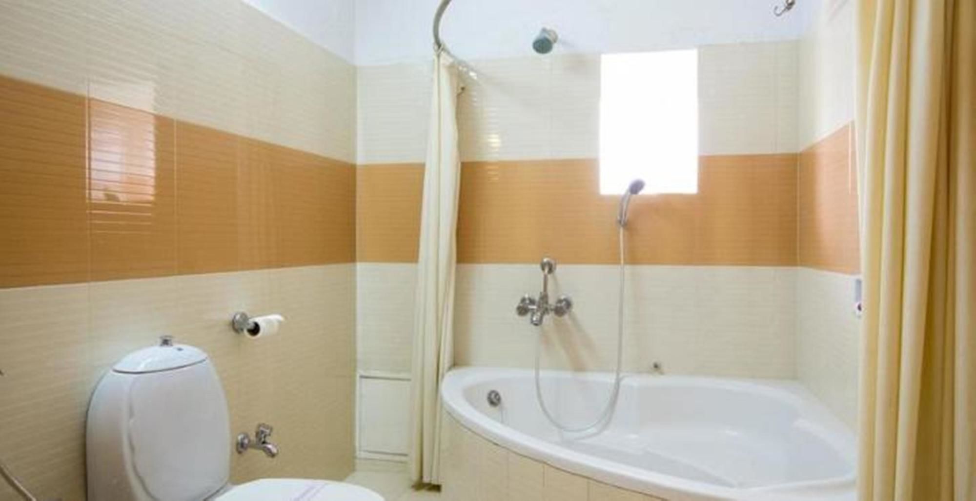 Hotel Ashish Palace 3*