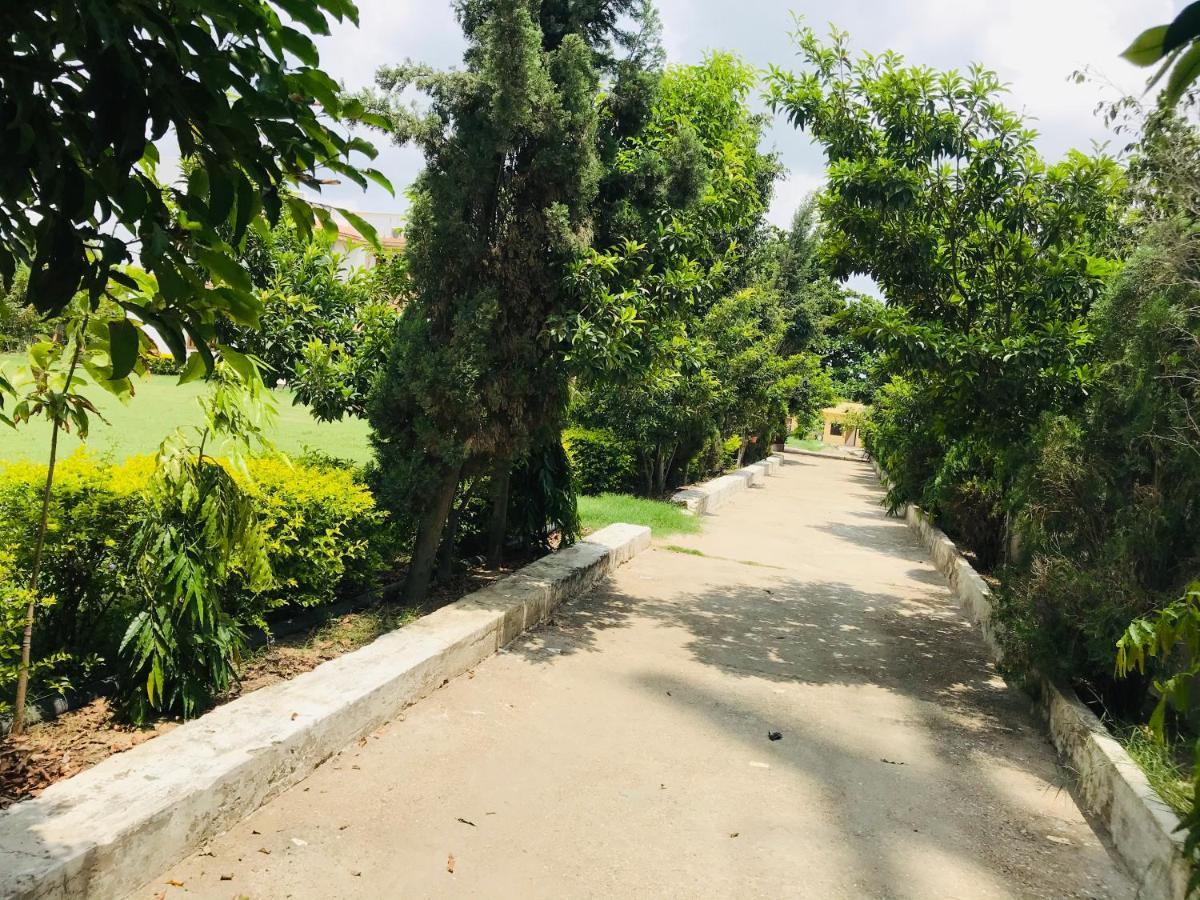 Badam Bagh