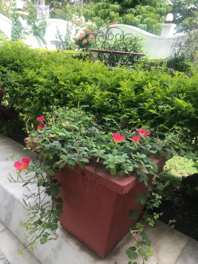 Royal Heritage Villa Udaipur * Udaipur