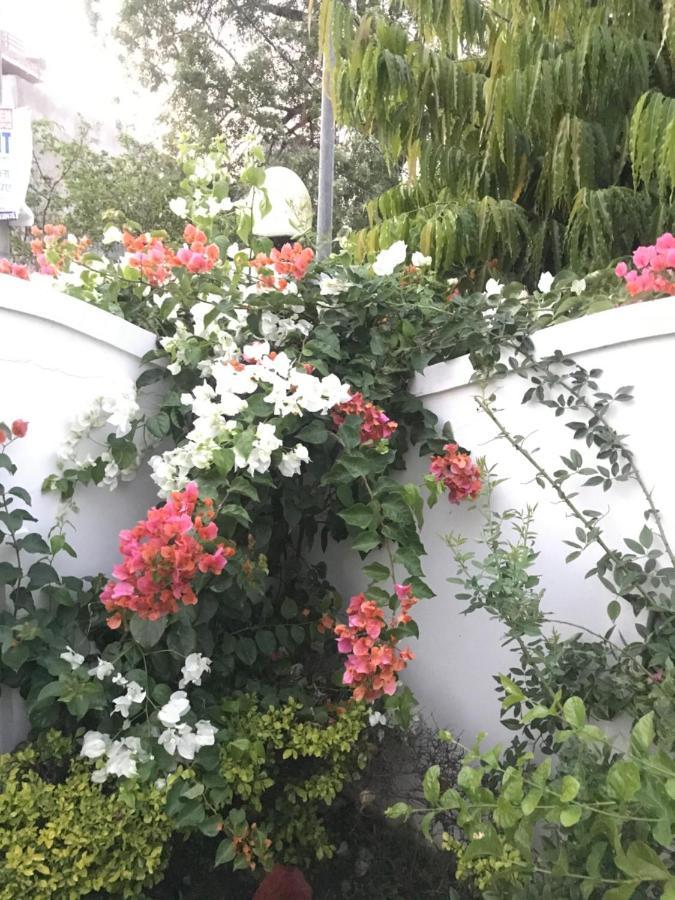 Royal Heritage Villa Udaipur Homestay
