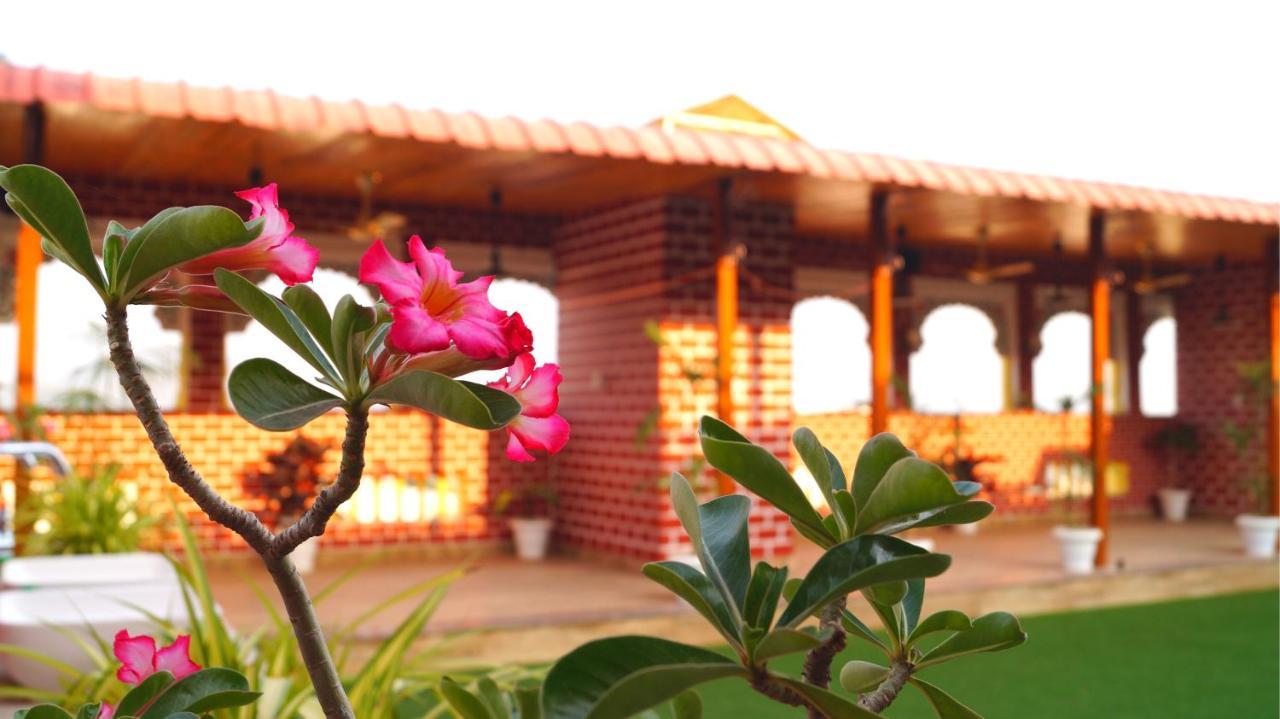 Spring Sky By Shrigo Hotel Udaipur