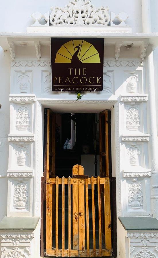 Peacock - View In