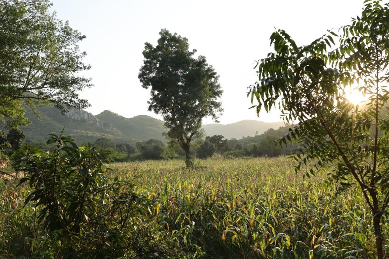 Hotel Vache Farm