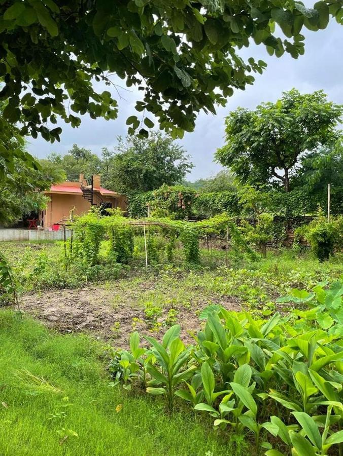 Molshri Farms Homestay