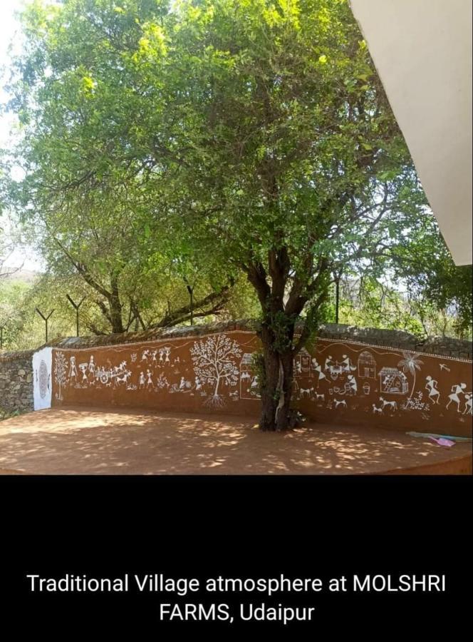 Molshri Farms Homestay Hotel
