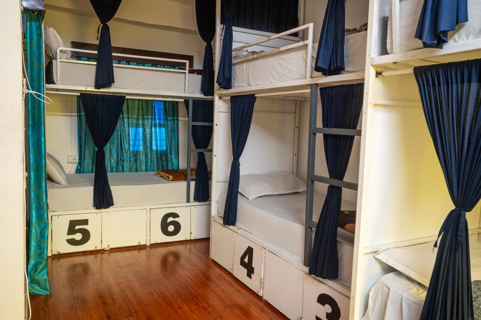 Hostel Dreamyard *