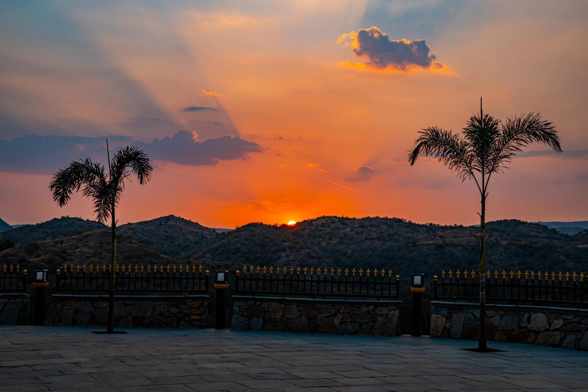 Resort Tree Of Life Vantara &