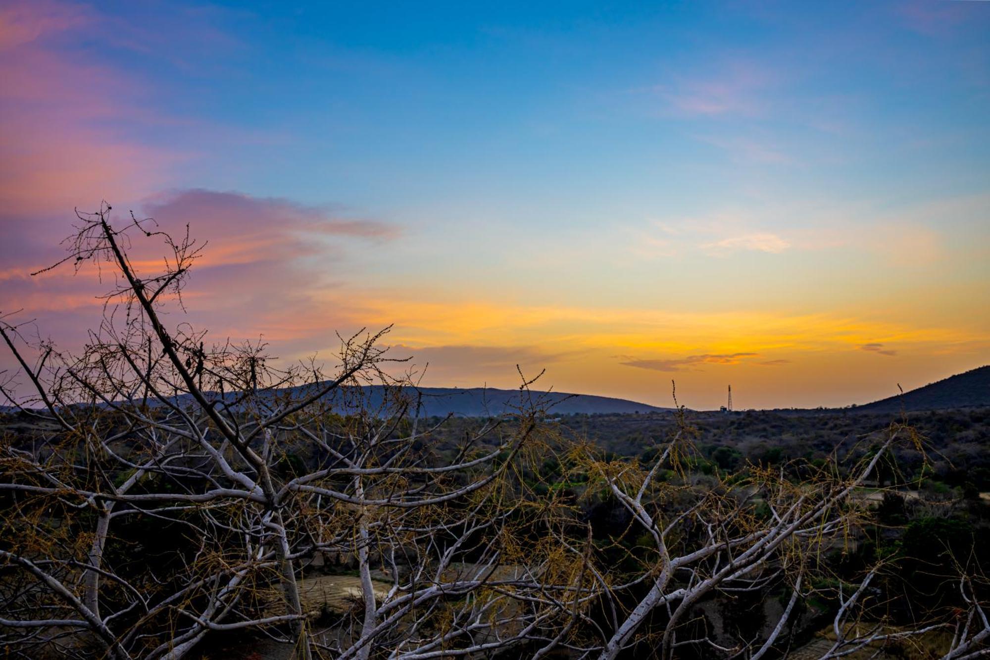 Tree Of Life Vantara & Resort