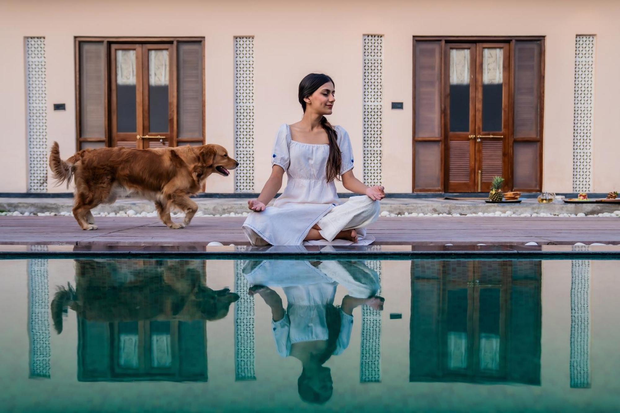Villa Parijat Private Pool 1, 2 And 3 Bhk Udaipur
