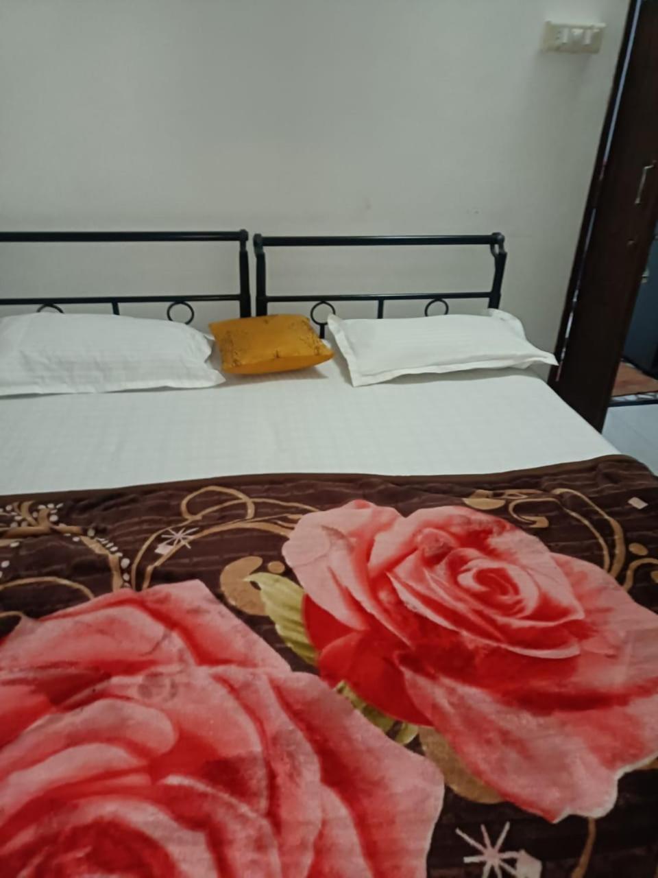 Bagol Palace Guest house Udaipur