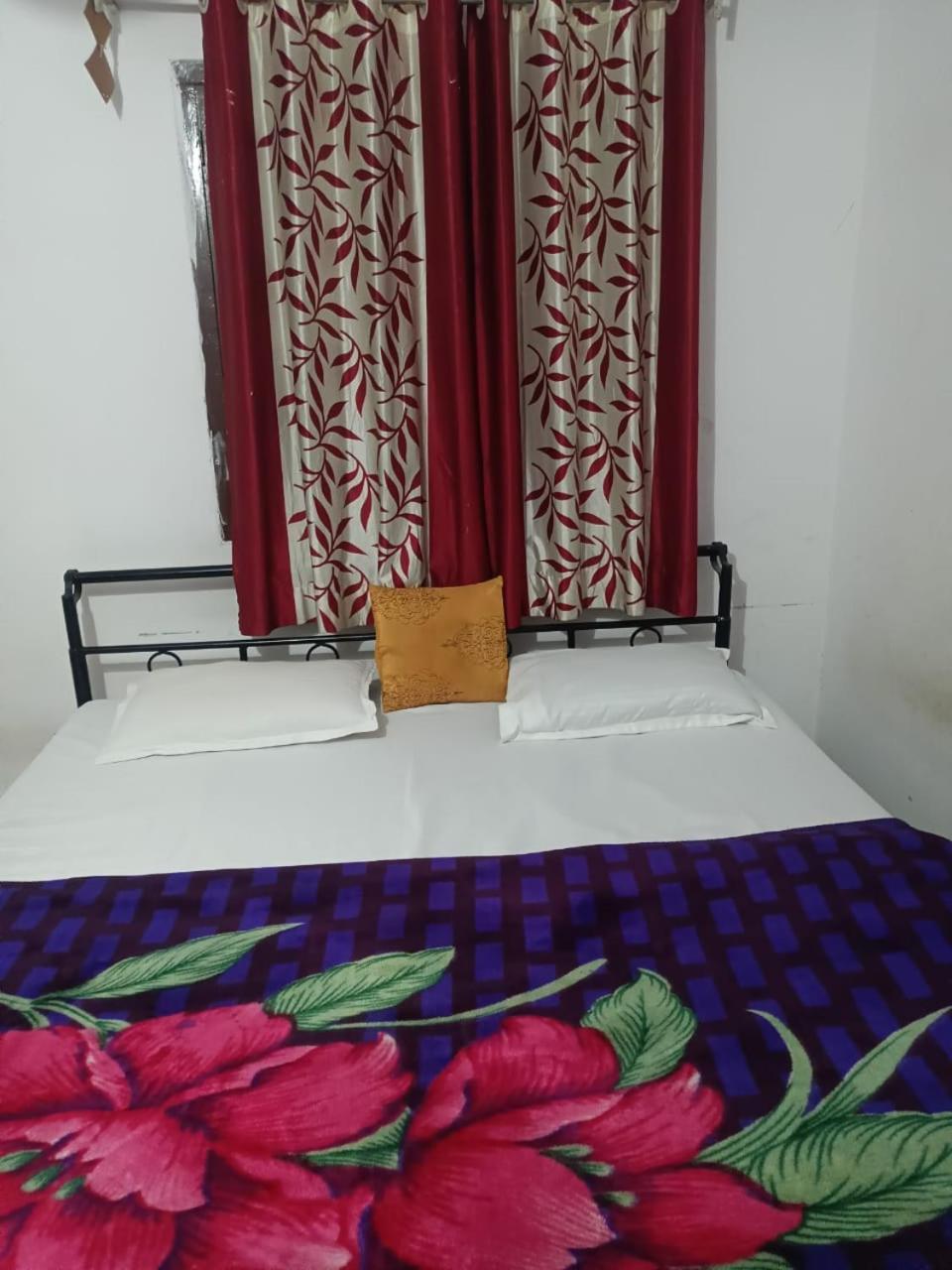 Bagol Palace Udaipur