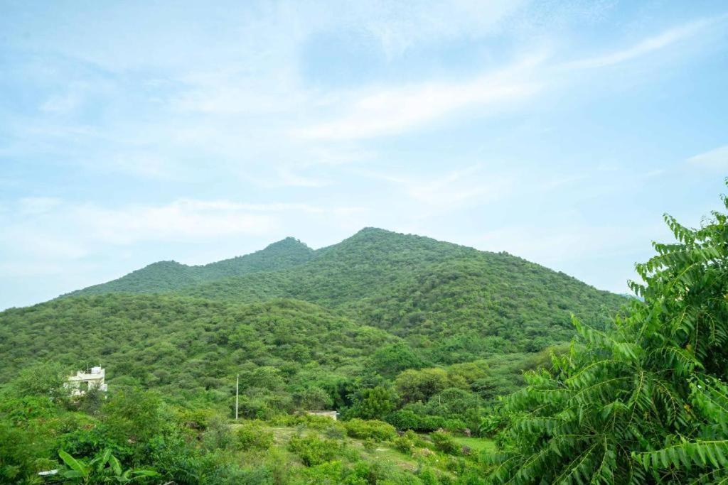 Hotel Vedic Vista Udaipur 3*