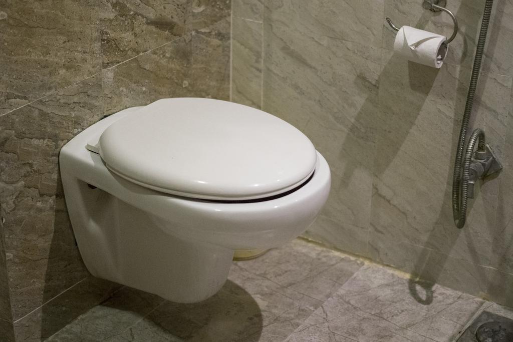 Hotel Vatika 3*