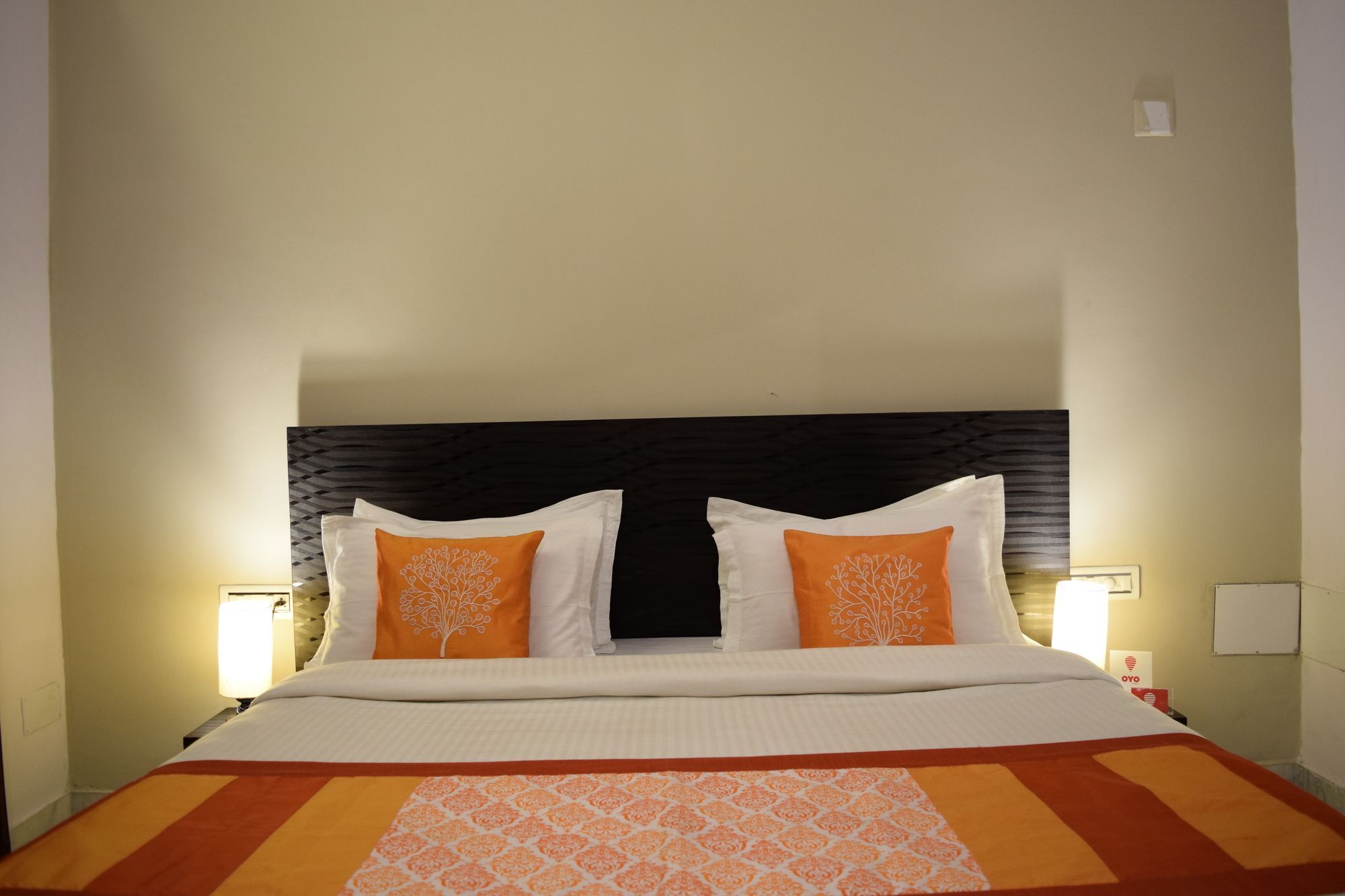Hotel Oyo 3439 Ace Udaipur