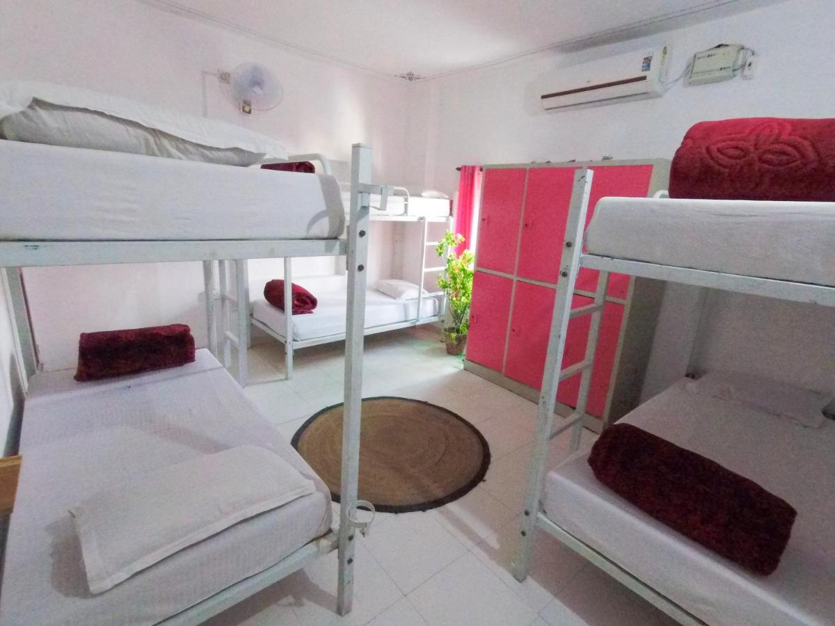 The Crawl Hostel Udaipur