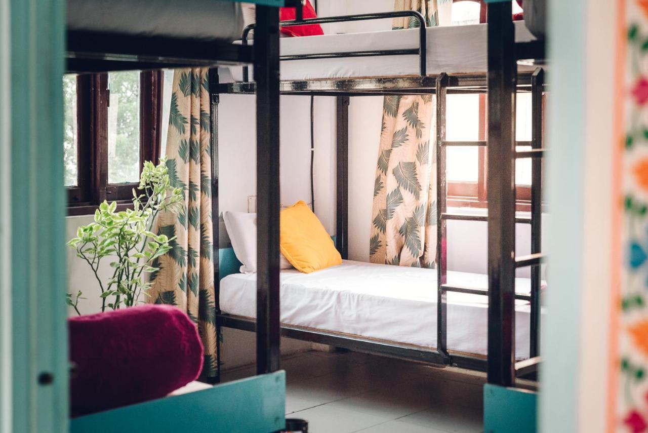 The Crawl Hostel